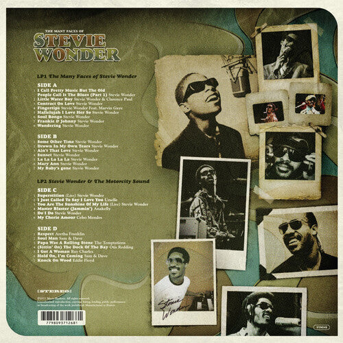 Many Faces Of Stevie Wonder / Various - Brown Vinyl