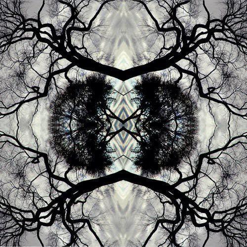 Adam Rudolph- Sonic Mandala Go: Organic Orchestra [ vinyl ]