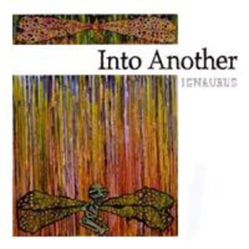 Into Another- Ignaurus [ vinyl ]