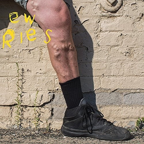 New Fries- More [ vinyl ]