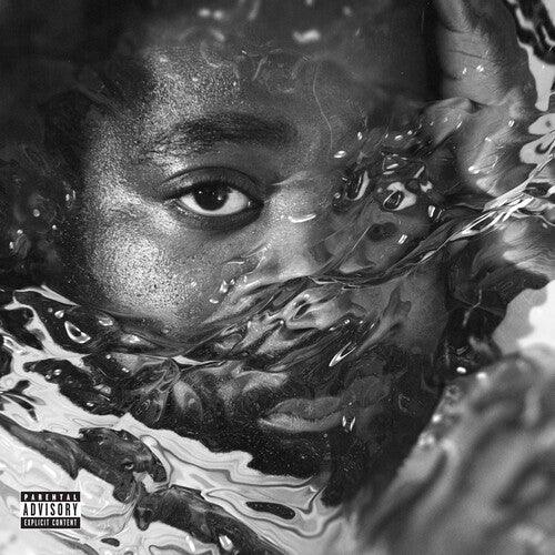 R.LUM.R- Surfacing [ vinyl ]