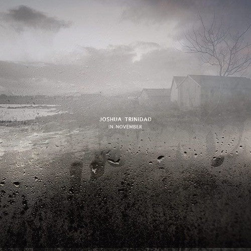 Joshua Trinidad- In November [180 Gram] [ vinyl ]