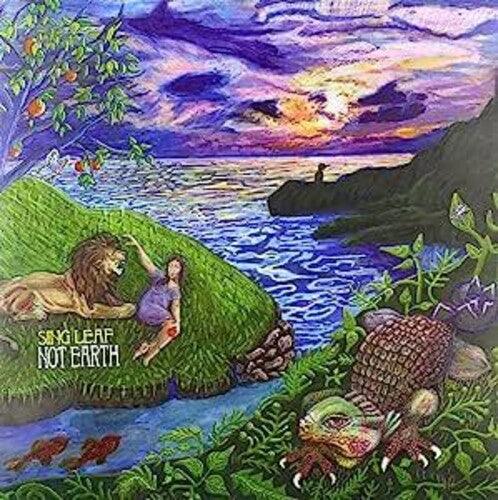 Not Earth [ vinyl ]