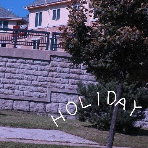 Shuta Hasunuma- Holiday [ vinyl ]