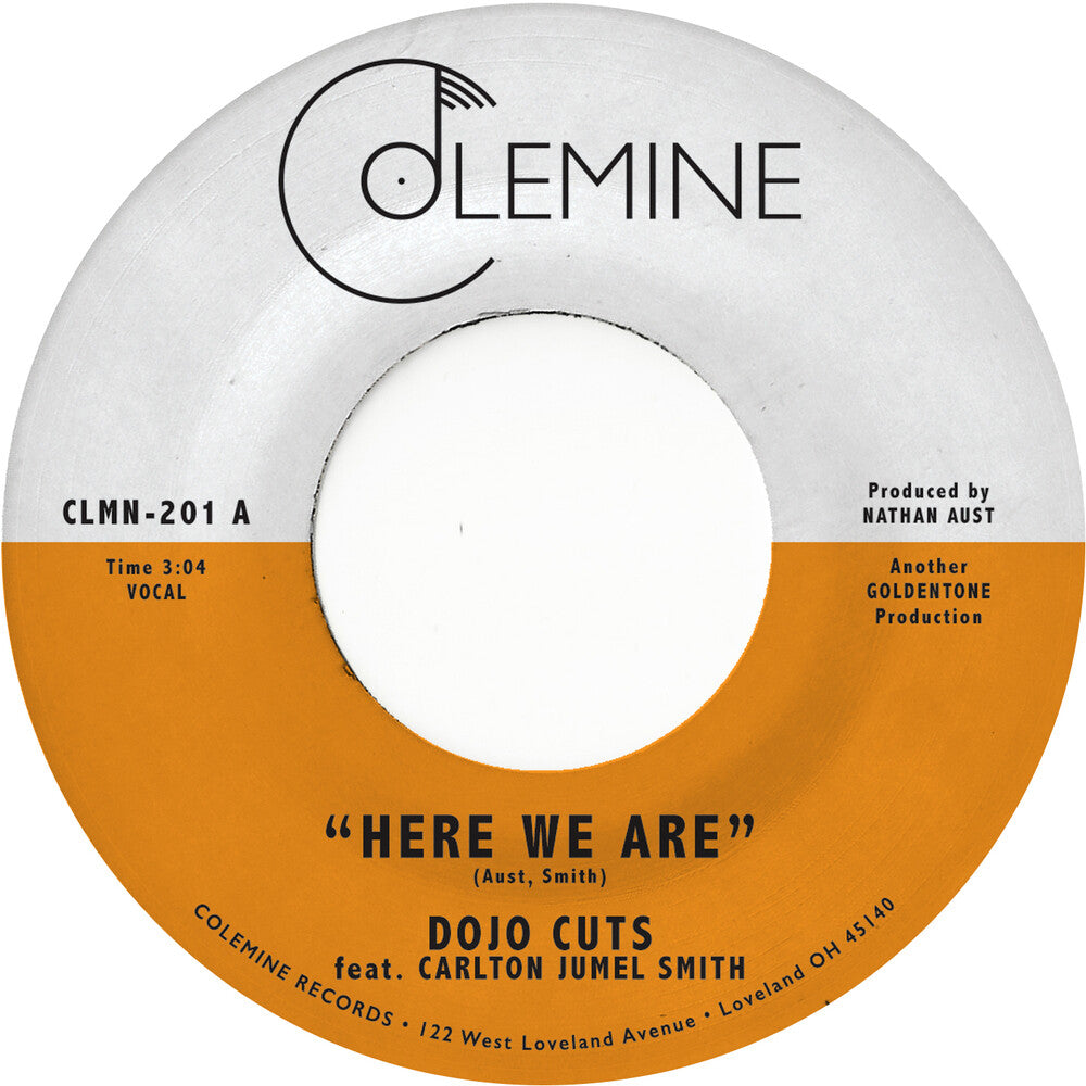 Dojo Cuts- Here We Are [ vinyl ]