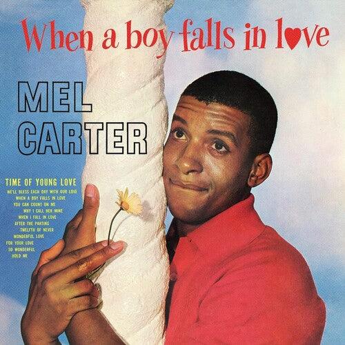 Mel Carter- When A Boy Falls In Love [ vinyl ]