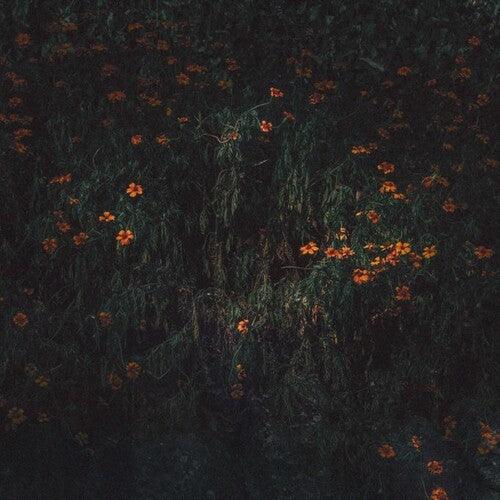 Compro Oro- Estarantos [ vinyl ]