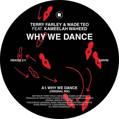 Terry Farley- Why We Dance [ vinyl ]
