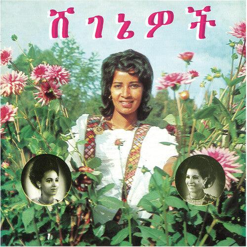 Aselefech Ashine- Beauties [ vinyl ]