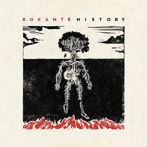 Bokante- History [ vinyl ]