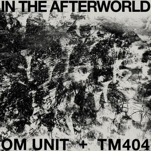 In The Afterworld [ vinyl ]