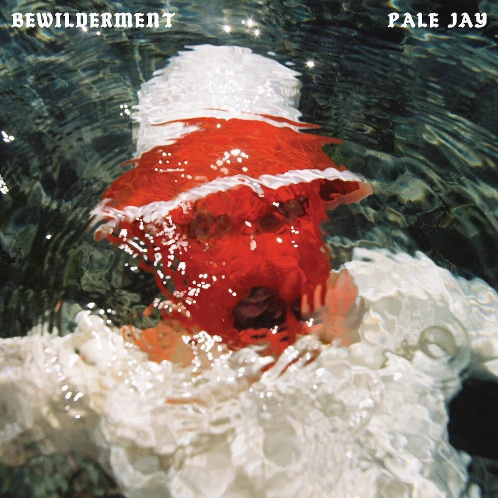 Pale Jay- Bewilderment [LP] [ vinyl ]