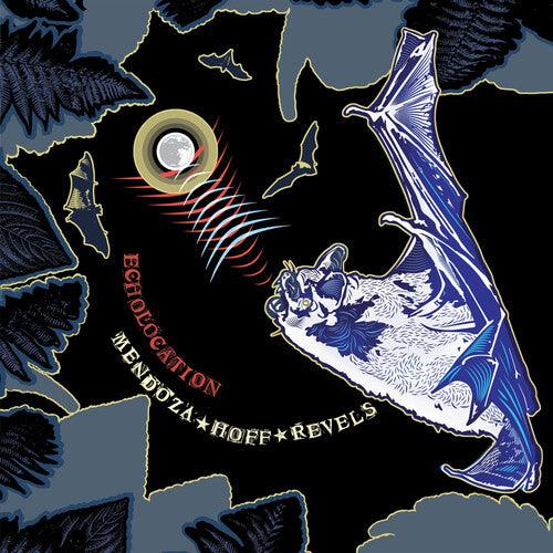 Ava Mendoza & Devin Hoff Revels- Echolocation [ vinyl ]