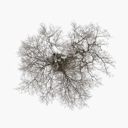 John Metcalfe- Tree [ vinyl ]