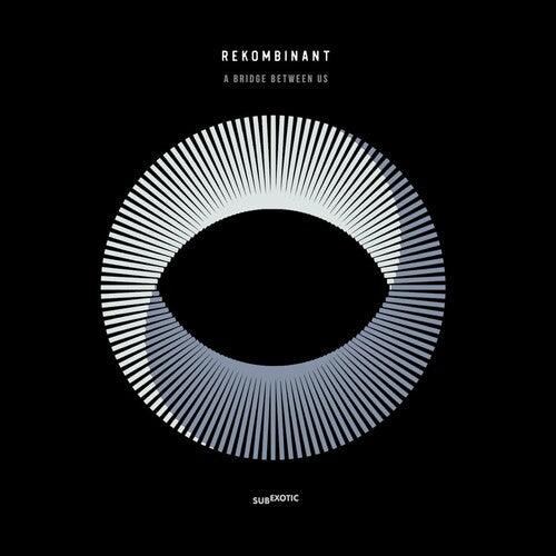 Rekombinant- A Bridge Between Us [ vinyl ]