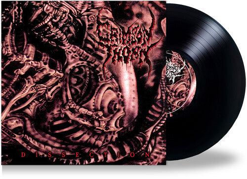 Crimson Thorn- Dissection [ vinyl ]