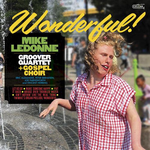 Wonderful [ vinyl ]