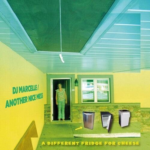 A Different Fridge For Cheese [ vinyl ]