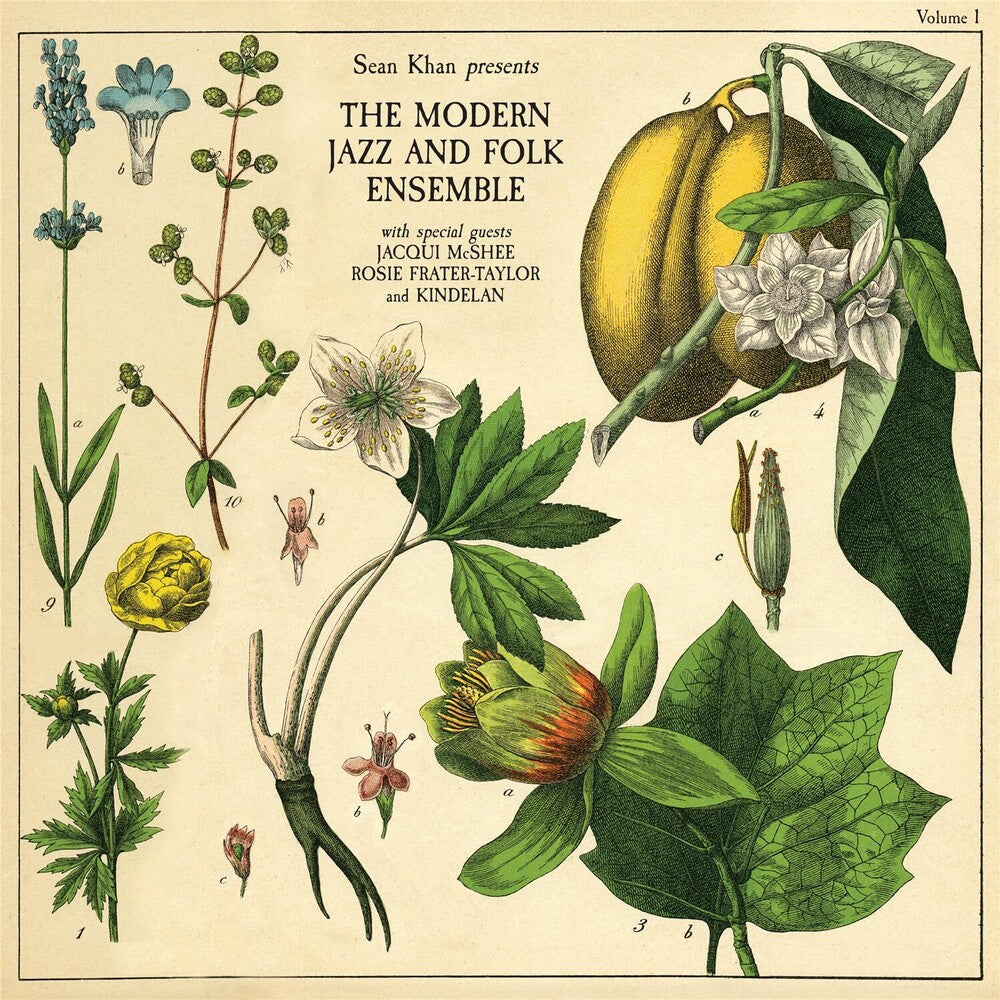 Sean Khan- Sean Khan Presents The Modern Folk & Jazz Ensemble [ vinyl ]