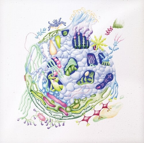 David Edren- Binnenin [ vinyl ]
