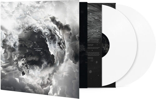 Disillusion- Ayam [ vinyl ]
