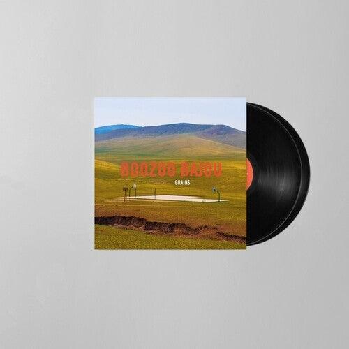 Grains (15th Anniversary) [ vinyl ]