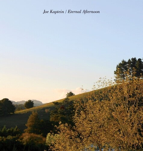Joe Kaptein- Eternal Afternoons [ vinyl ]