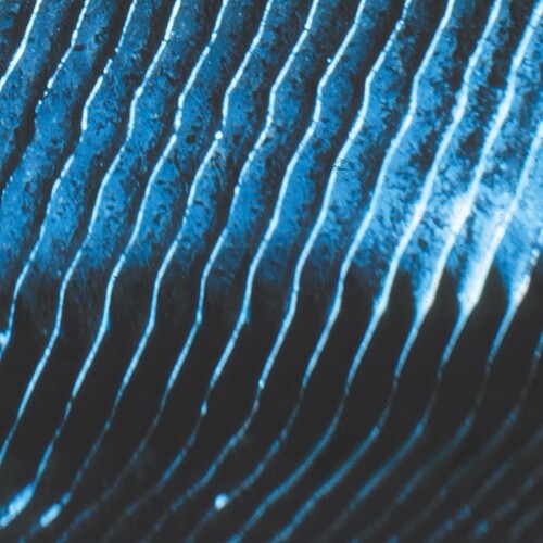 Monolake- Gravity [ vinyl ]