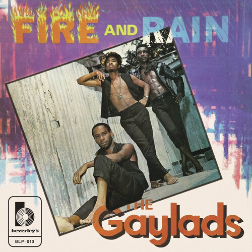 Gayladds- Fire & Rain [ vinyl ]