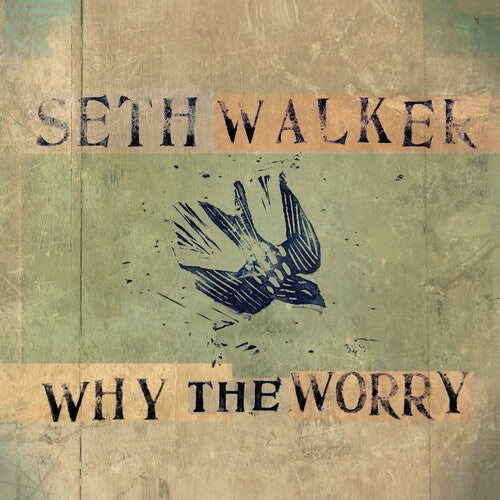 Seth Walker- WHY THE WORRY [ vinyl ]