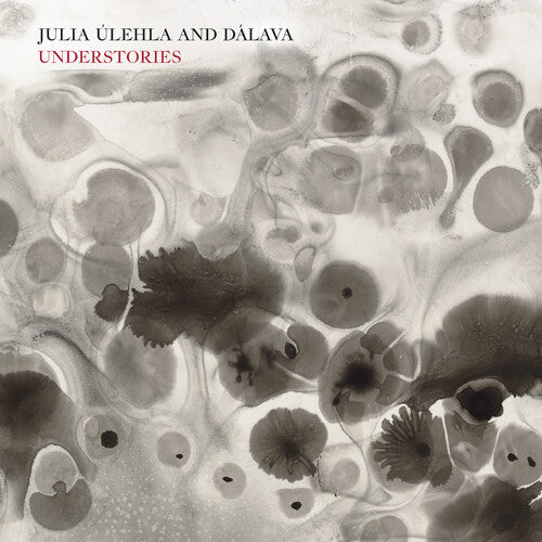 Julia Úlehla- Understories [ vinyl ]