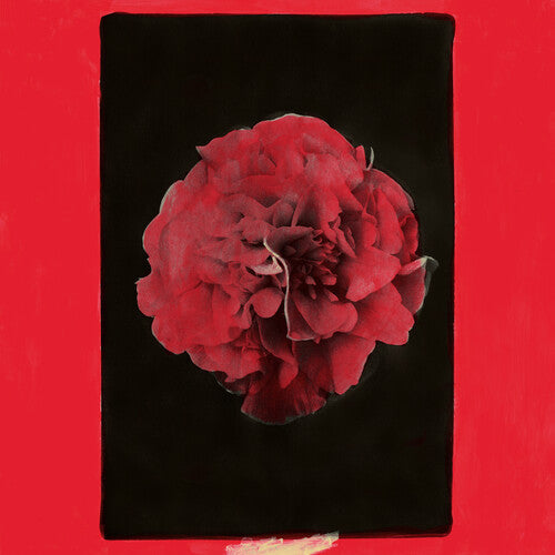 Activity- A Thousand Years in Another Way [ vinyl ]