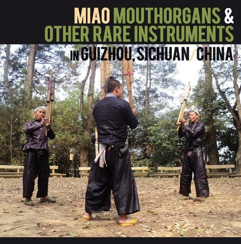 Various Artists- Miao Mouthorgans And Other Rare Instruments In Guizhou, Sichuan, China [ vinyl ]