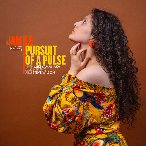 Pursuit Of A Pulse [ vinyl ]