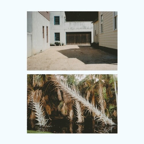 The Vestige [ vinyl ]