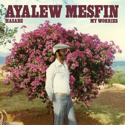 Ayalew Mesfin- Hasabe - My Worries [ vinyl ]
