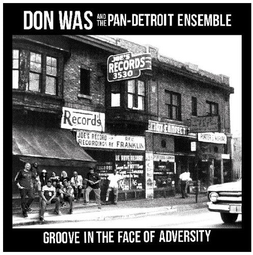 Don Was- Groove In The Face Of Adversity [ vinyl ]