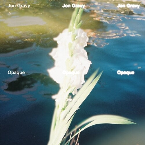 Jon Gravy- Opaque [ vinyl ]