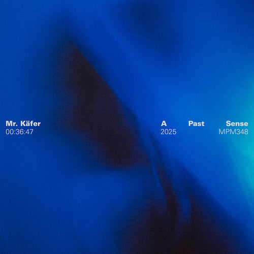 A Past Sense [ vinyl ]