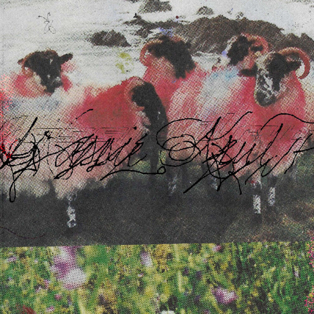 Kassie Krut- Kassie Krut [ vinyl ]