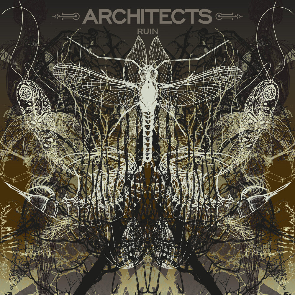 Architects- Ruin [Limited Edition] (Pict) [ vinyl ]