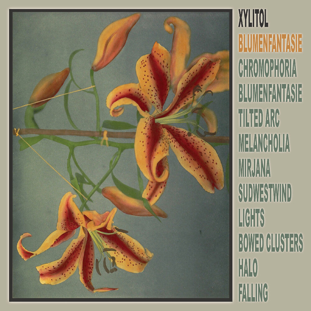 Xylitol- Blumenfantasie [ vinyl ]