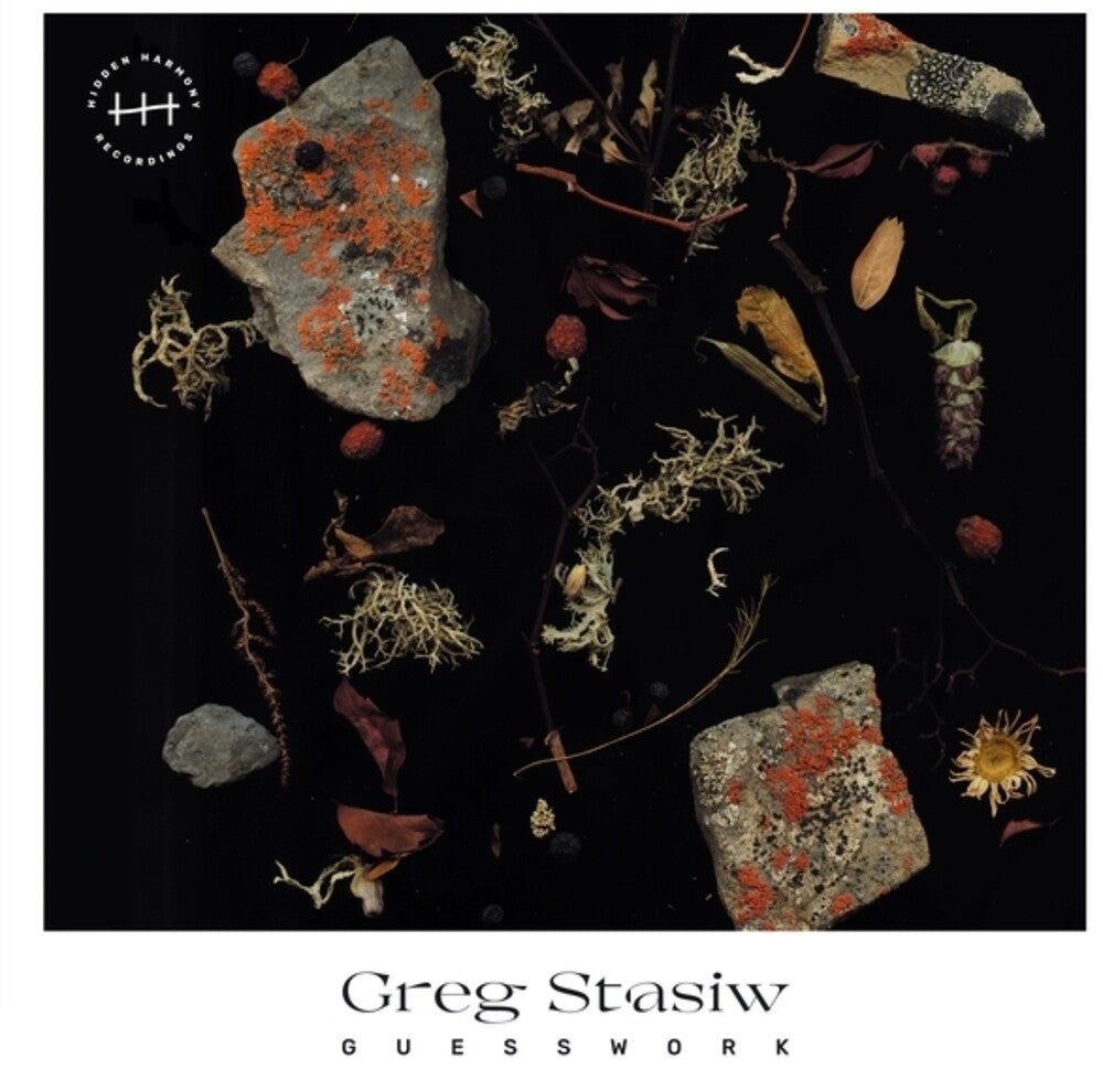 Greg Stasiw- Guesswork [ vinyl ]