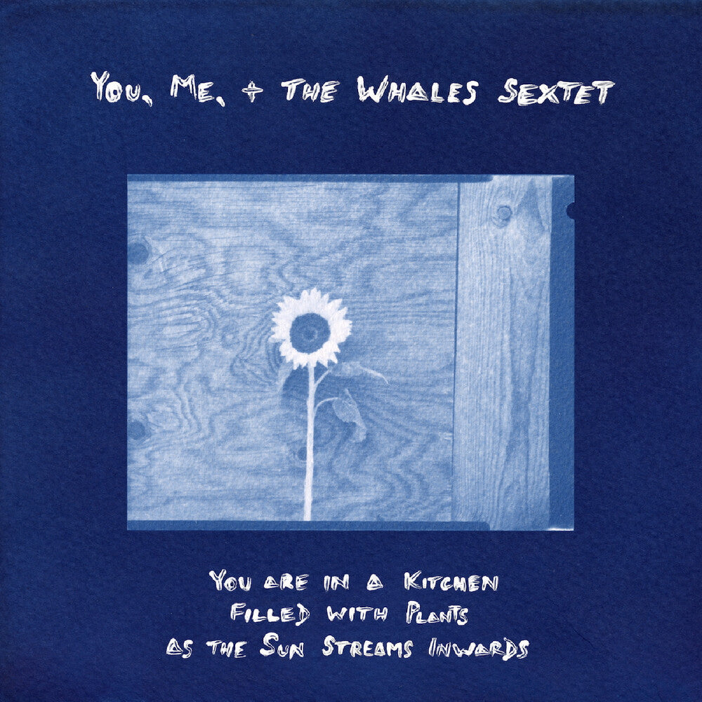 You, Me, + The Whales Sextet- You Are In A Kitchen Filled With Plants As The Sun [ vinyl ]
