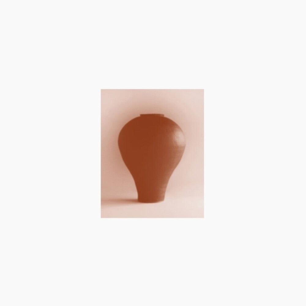 Beatriz Ferreyra- Distracted Godc [ vinyl ]