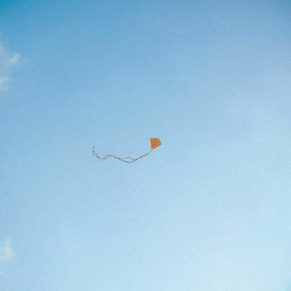 Chris Stussy- Lost Found & Forgotten [ vinyl ]