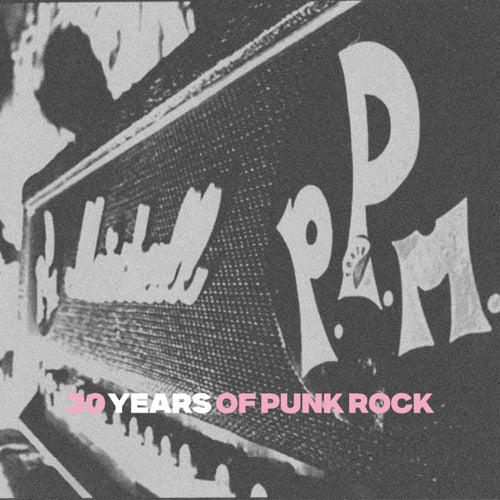 30 Years Of Punk Rock [ vinyl ]