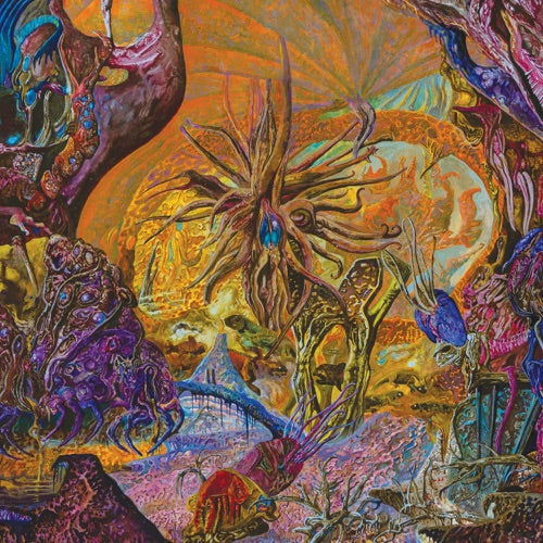 Chytridiomycosis Relinquished - Orange/royal Blue [ vinyl ]