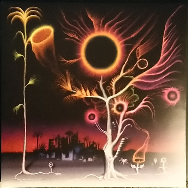 Laura Agnusdei- Flowers Are Blooming In Antarctica [ vinyl ]