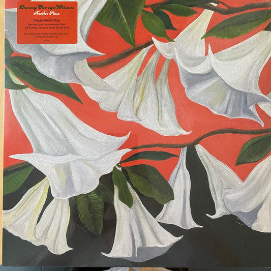 Danny George Wilson- Another Place [ vinyl ]